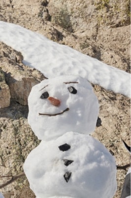 Pro děti